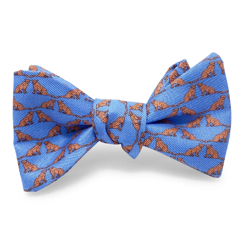 Leopards: Bow - Blue