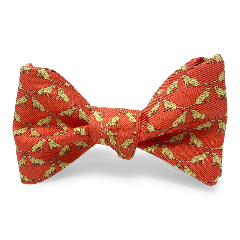 Leopards: Bow - Orange