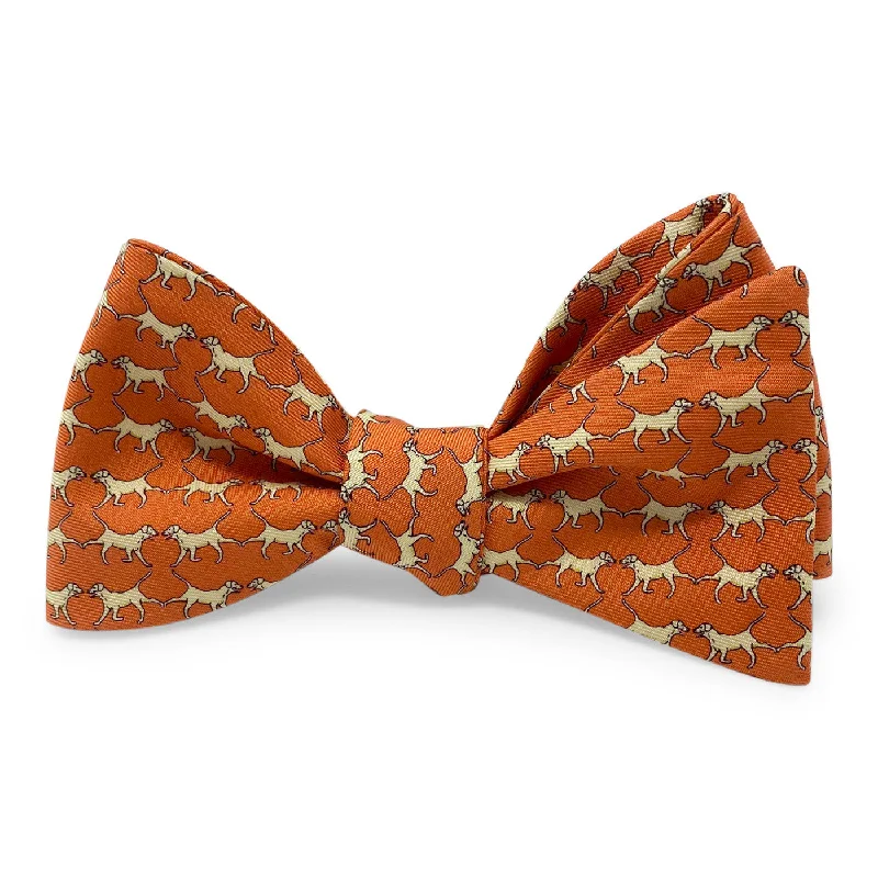 Retriever: Bow - Orange